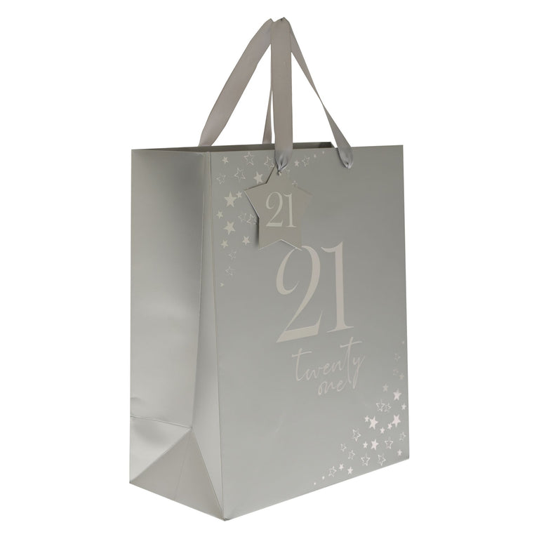 Milestone Medium Gift Bag- 21