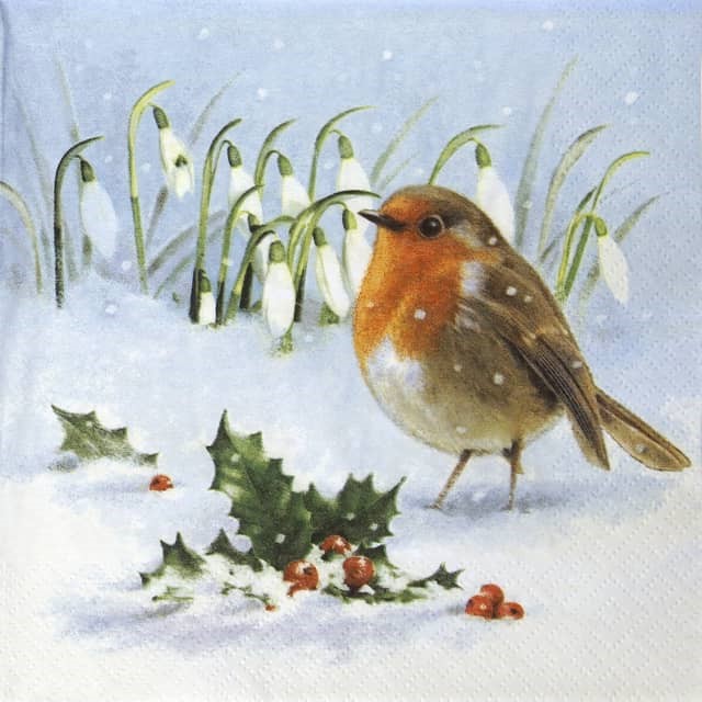 310336 Napkins 33x33cm