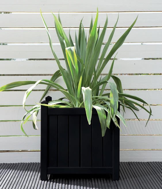 Cuprinol Garden Shades  Black Ash