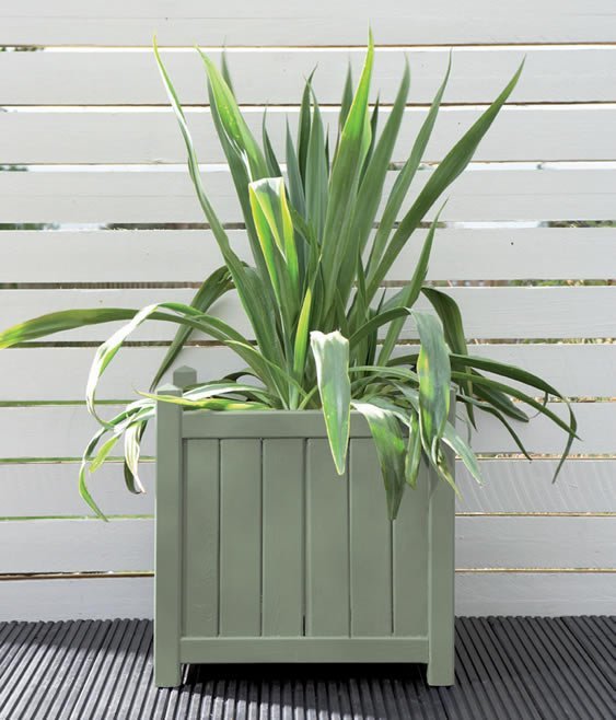 Cuprinol Garden Shades  Willow