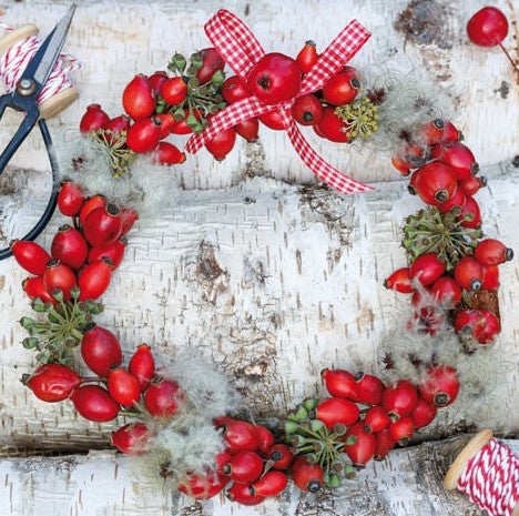 303653 Napkins 33x33cm