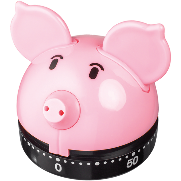 Judge Piggy Timer