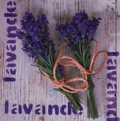 344610 Napkins 33x33cm