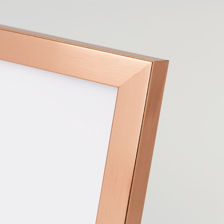 Rose Gold 21 Birthday Frame 4x 6